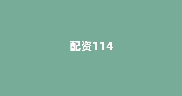 摆渡配资